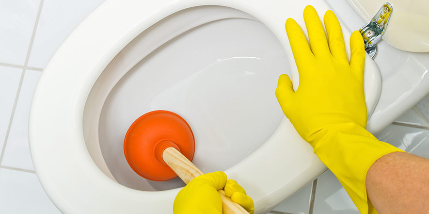  Clogged Toilet Repairs in New Port Richey